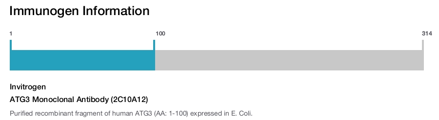 ATG3 Monoclonal Antibody (2C10A12)