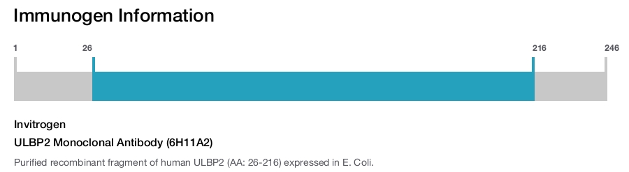 ULBP2 Monoclonal Antibody (6H11A2)