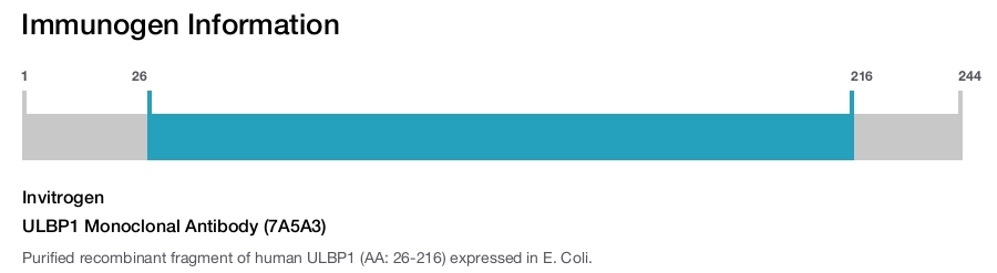 ULBP1 Monoclonal Antibody (7A5A3)
