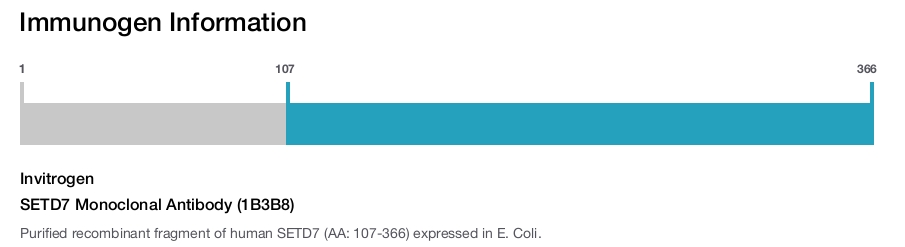 SETD7 Monoclonal Antibody (1B3B8)