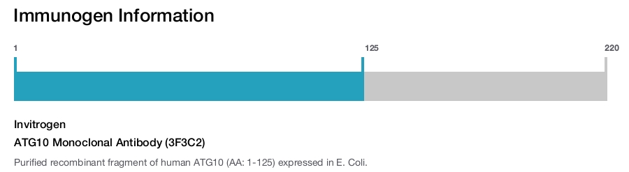 ATG10 Monoclonal Antibody (3F3C2)