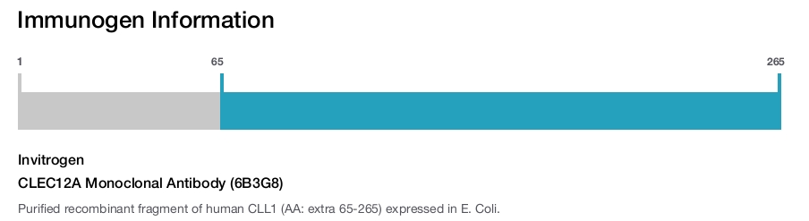 CLEC12A Monoclonal Antibody (6B3G8)