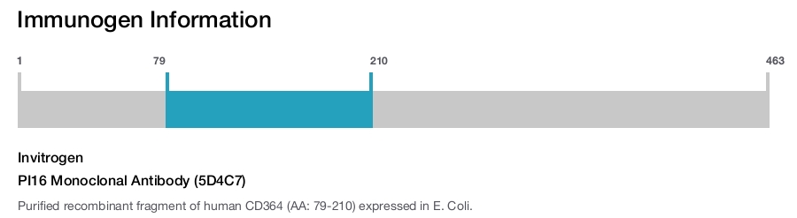 PI16 Monoclonal Antibody (5D4C7)