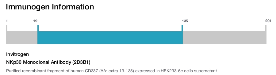 NKp30 Monoclonal Antibody (2D3B1)
