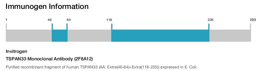 TSPAN33 Monoclonal Antibody (2F8A12)