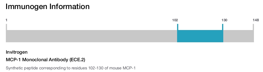 MCP-1 Monoclonal Antibody (ECE.2)