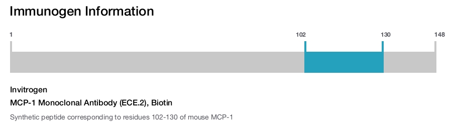 MCP-1 Monoclonal Antibody (ECE.2), Biotin