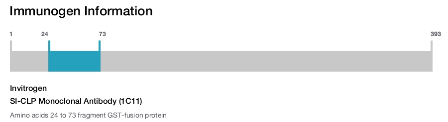 SI-CLP Monoclonal Antibody (1C11)
