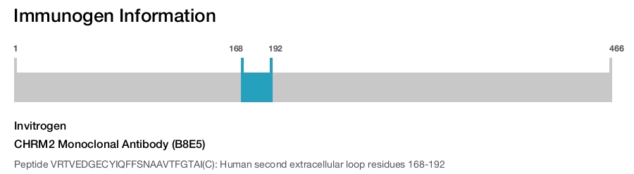 CHRM2 Monoclonal Antibody (B8E5)