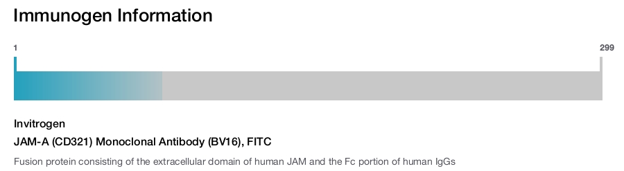 JAM-A (CD321) Monoclonal Antibody (BV16), FITC