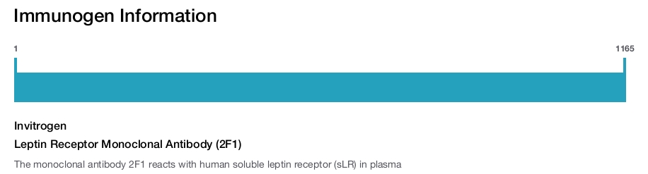 Leptin Receptor Monoclonal Antibody (2F1)