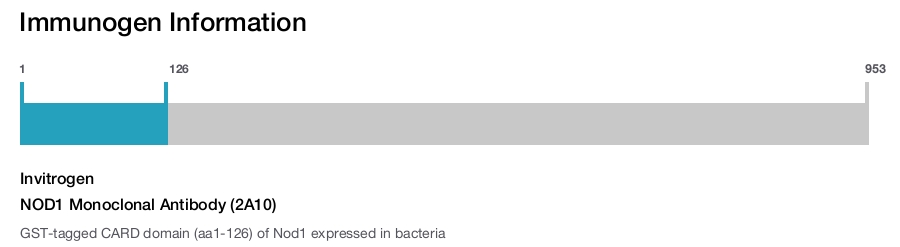 NOD1 Monoclonal Antibody (2A10)