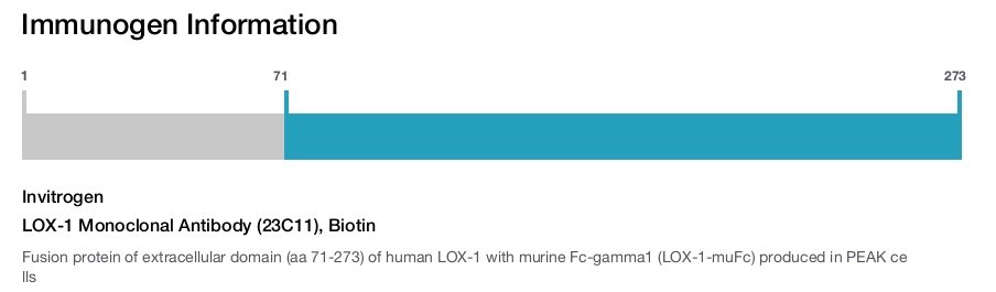 LOX-1 Monoclonal Antibody (23C11), Biotin