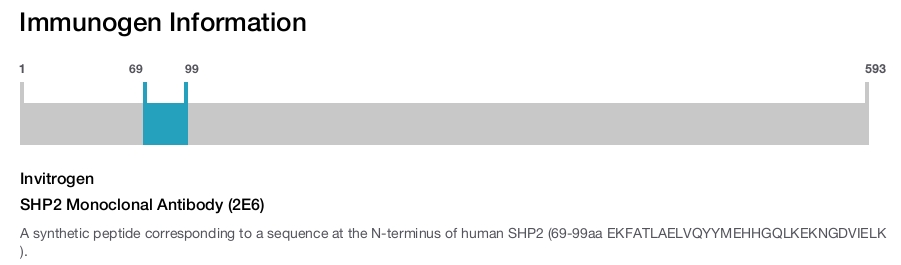 SHP2 Monoclonal Antibody (2E6)