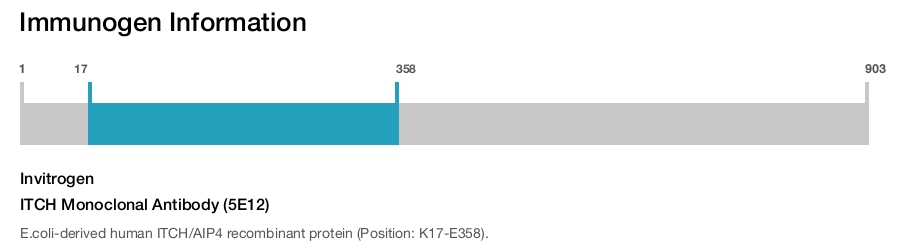 ITCH Monoclonal Antibody (5E12)