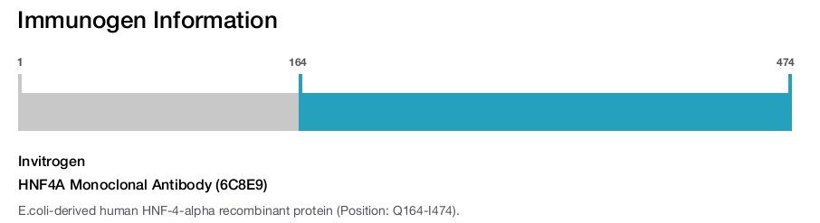 HNF4A Monoclonal Antibody (6C8E9)