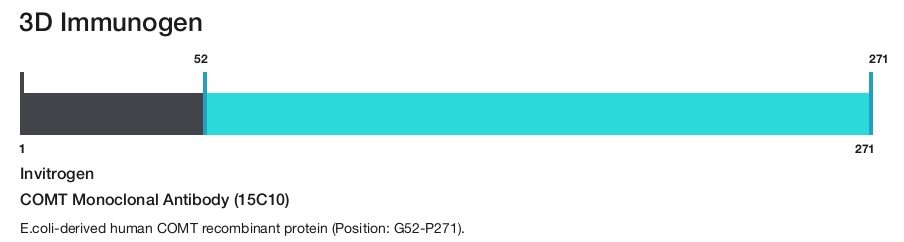COMT Monoclonal Antibody (15C10)