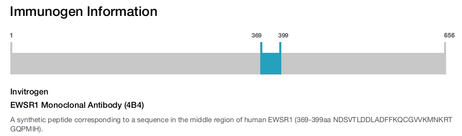 EWSR1 Monoclonal Antibody (4B4)