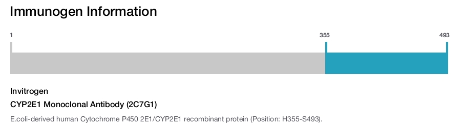 CYP2E1 Monoclonal Antibody (2C7G1)