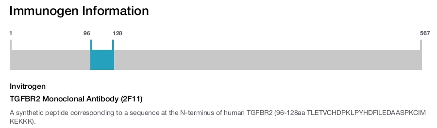 TGFBR2 Monoclonal Antibody (2F11)