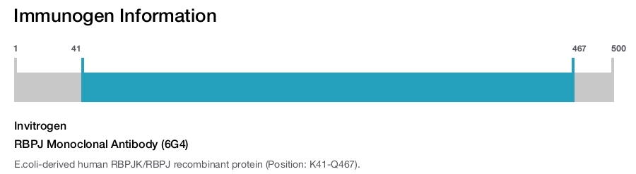RBPJ Monoclonal Antibody (6G4)