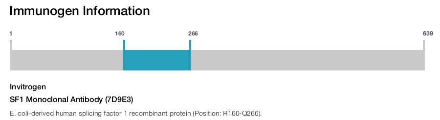 SF1 Monoclonal Antibody (7D9E3)