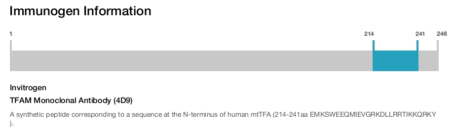 TFAM Monoclonal Antibody (4D9)