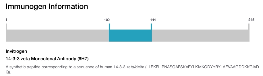 14-3-3 zeta Monoclonal Antibody (6H7)