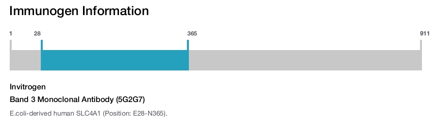 Band 3 Monoclonal Antibody (5G2G7)