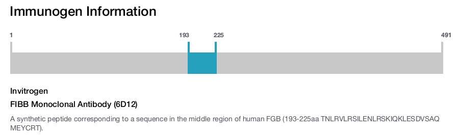 FIBB Monoclonal Antibody (6D12)