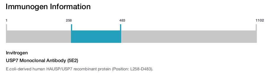 USP7 Monoclonal Antibody (5E2)