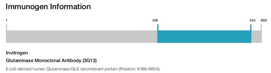 Glutaminase Monoclonal Antibody (3G13)