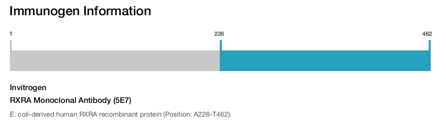 RXRA Monoclonal Antibody (5E7)