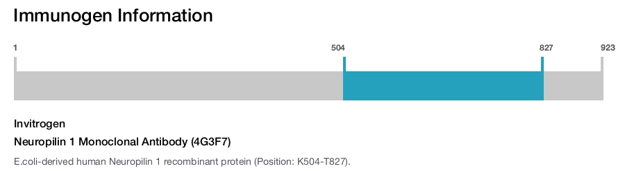 Neuropilin 1 Monoclonal Antibody (4G3F7)