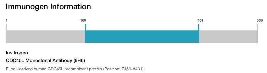 CDC45L Monoclonal Antibody (6H6)