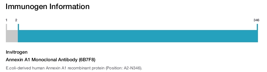 Annexin A1 Monoclonal Antibody (6B7F8)