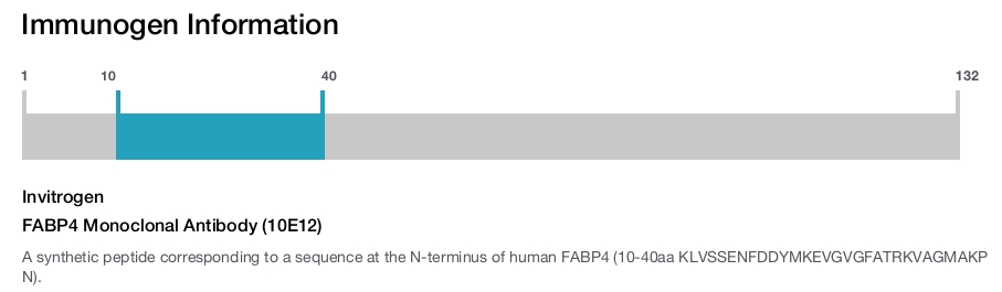 FABP4 Monoclonal Antibody (10E12)