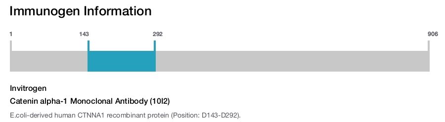 Catenin alpha-1 Monoclonal Antibody (10I2)