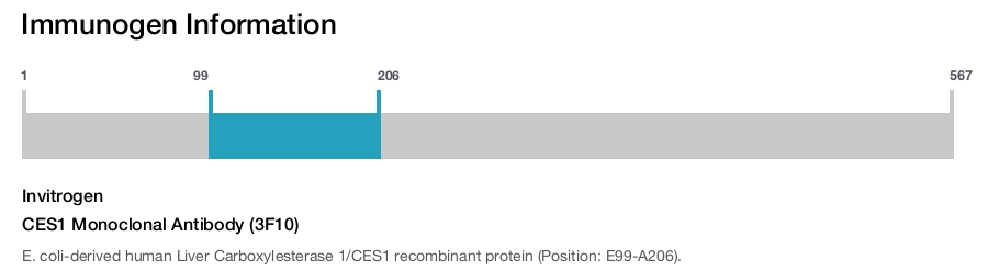 CES1 Monoclonal Antibody (3F10)