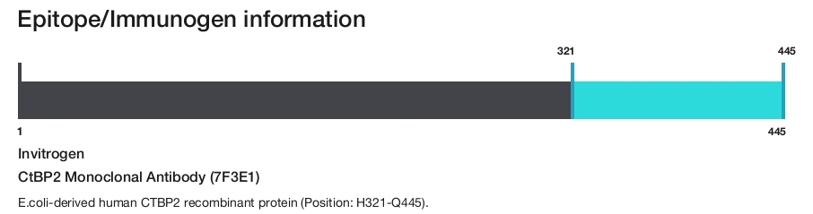 CtBP2 Monoclonal Antibody (7F3E1)