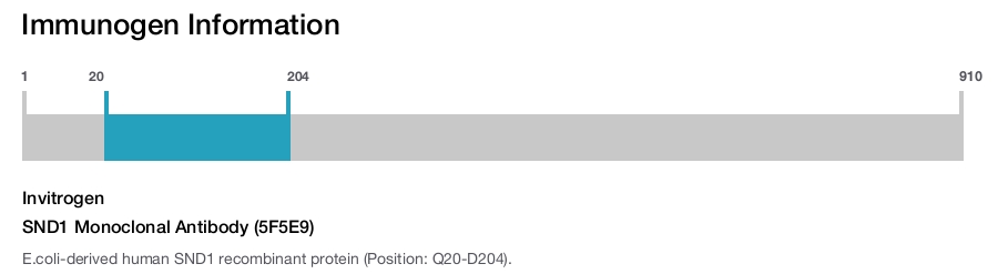 SND1 Monoclonal Antibody (5F5E9)
