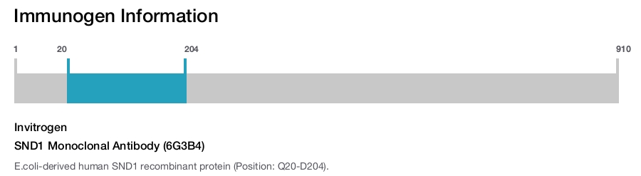 SND1 Monoclonal Antibody (6G3B4)