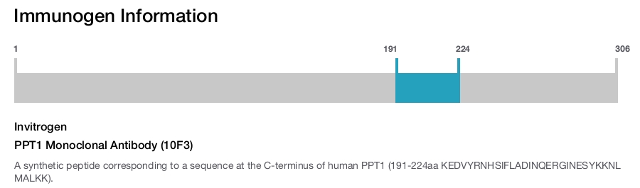 PPT1 Monoclonal Antibody (10F3)