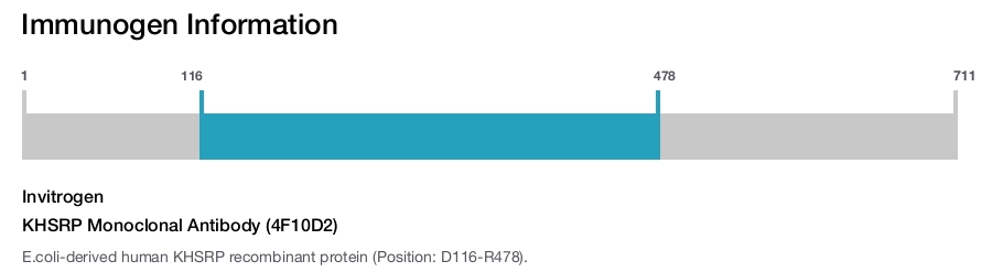 KHSRP Monoclonal Antibody (4F10D2)