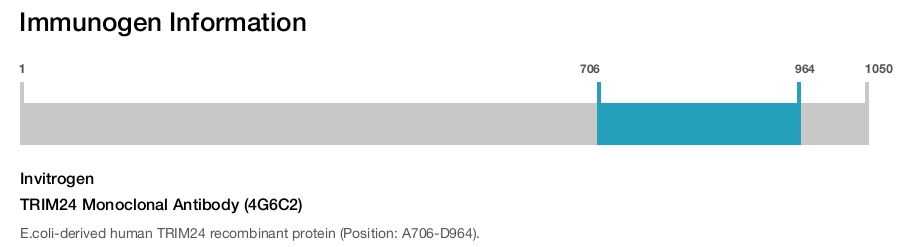 TRIM24 Monoclonal Antibody (4G6C2)