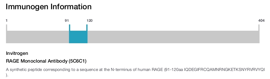 RAGE Monoclonal Antibody (5C6C1)