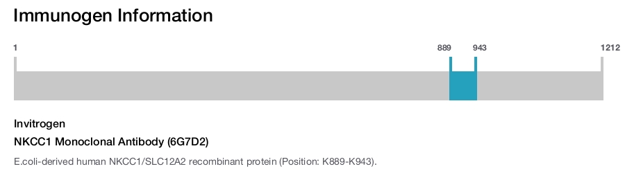 NKCC1 Monoclonal Antibody (6G7D2)
