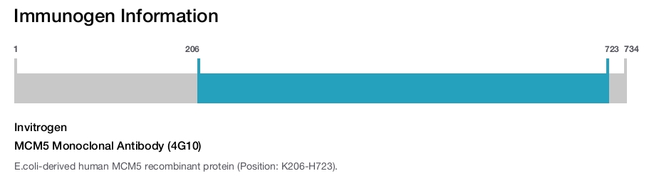 MCM5 Monoclonal Antibody (4G10)
