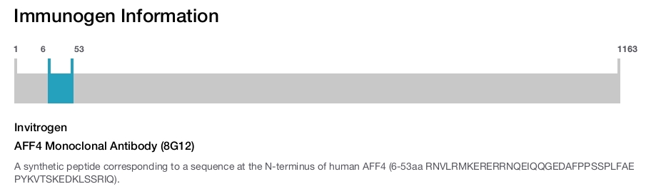 AFF4 Monoclonal Antibody (8G12)