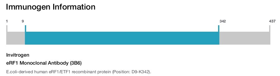 eRF1 Monoclonal Antibody (3B6)
